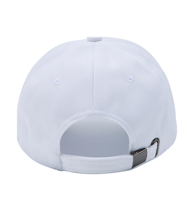 2025-CAP-BB-MDD268-A000084